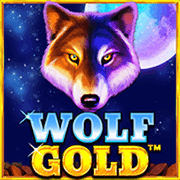Sói vàng game icon